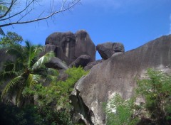  Nature Roches La Digue 'Seychelles)