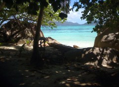  Nature La Digue (Seychelles)