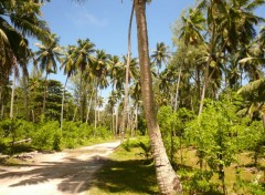  Nature La Digue (Seychelles)