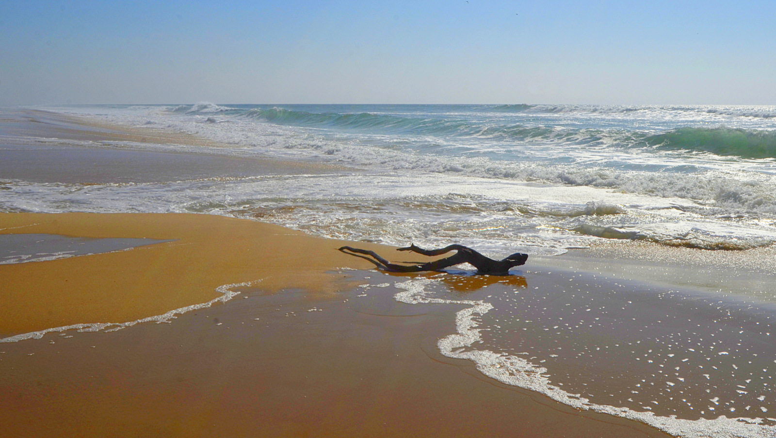 Fonds d'cran Nature Mers - Ocans - Plages nageur solitaire