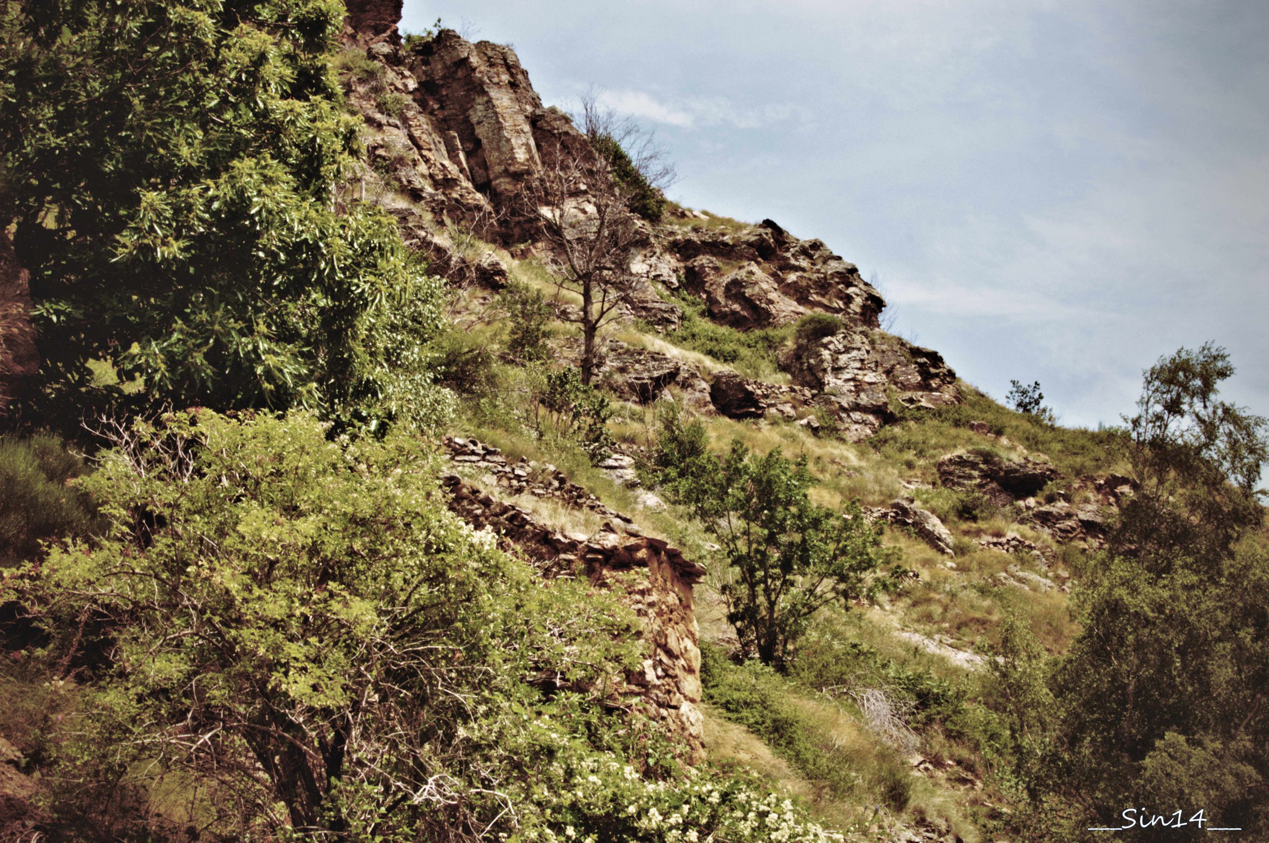 Fonds d'cran Nature Paysages LOZERE