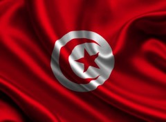  Digital Art Tunisia flag