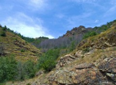  Nature LOZERE