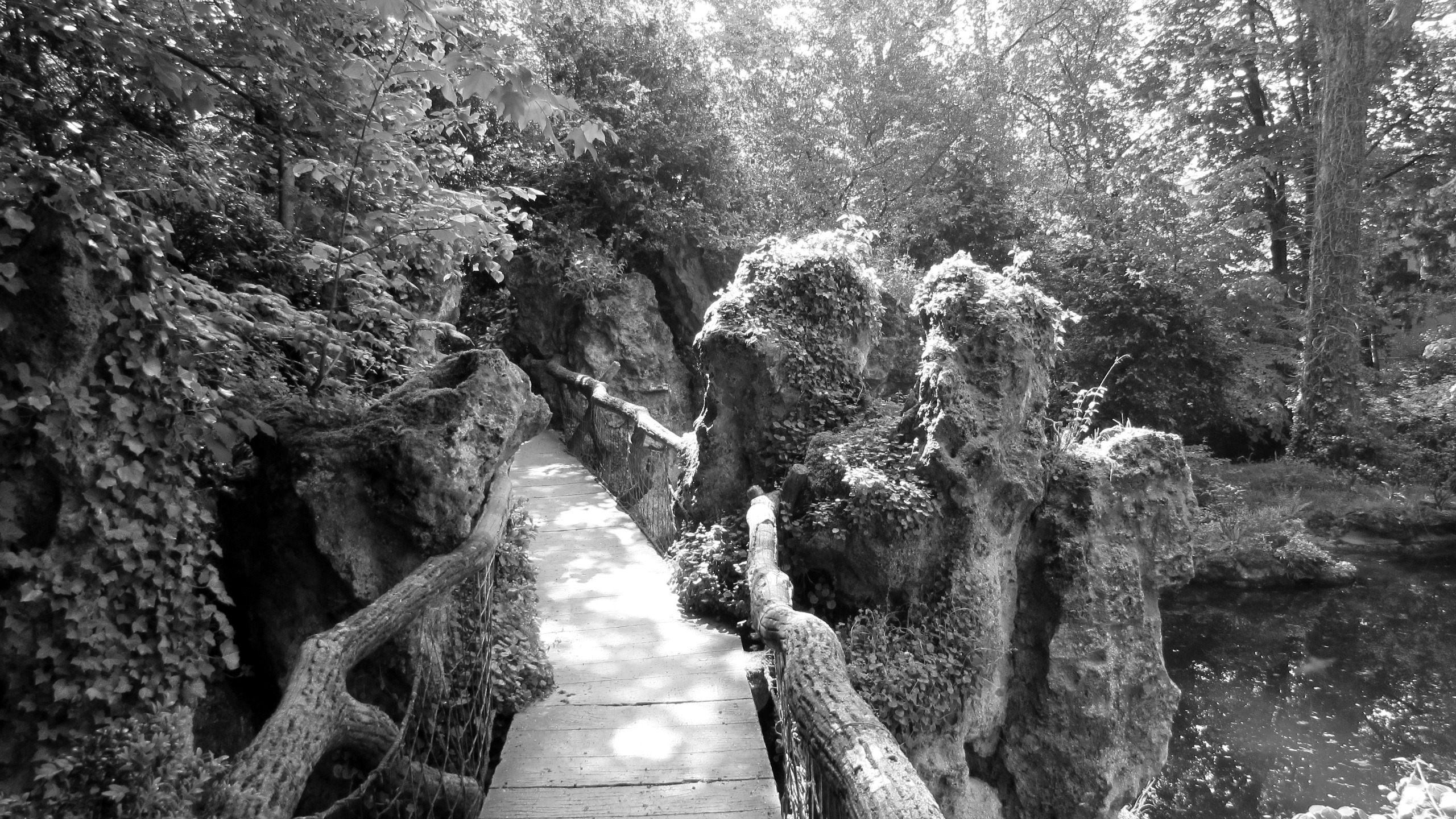 Wallpapers Nature Parks - Gardens Noir et blanc.