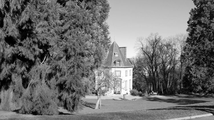 Fonds d'cran Nature Parcs - Jardins Parc Bargoin (Chamalires) en noir et blanc.