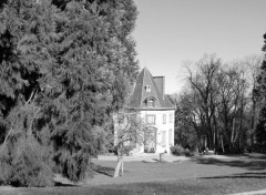  Nature Parc Bargoin (Chamalires) en noir et blanc.