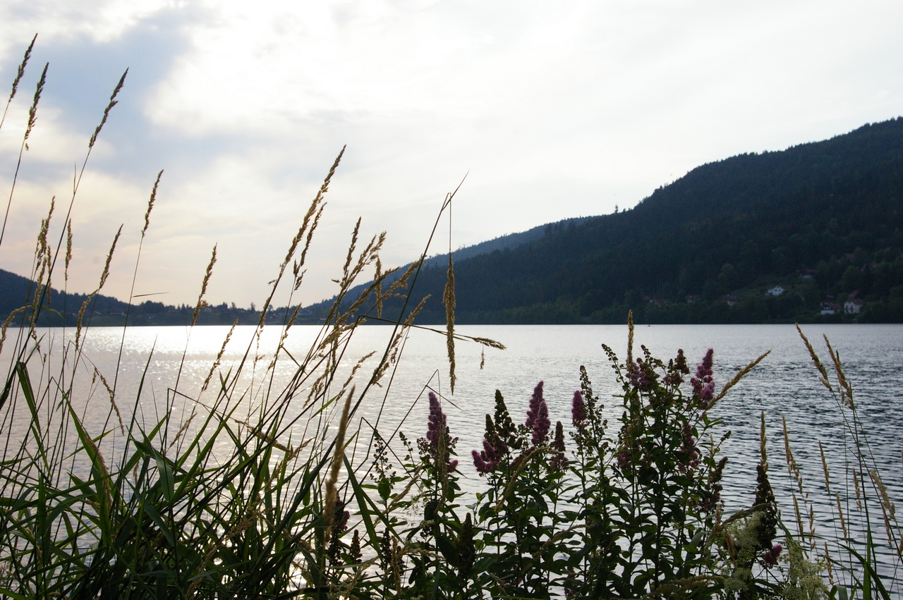 Fonds d'cran Nature Lacs - Etangs 