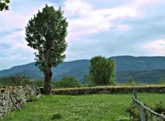  Nature LOZERE