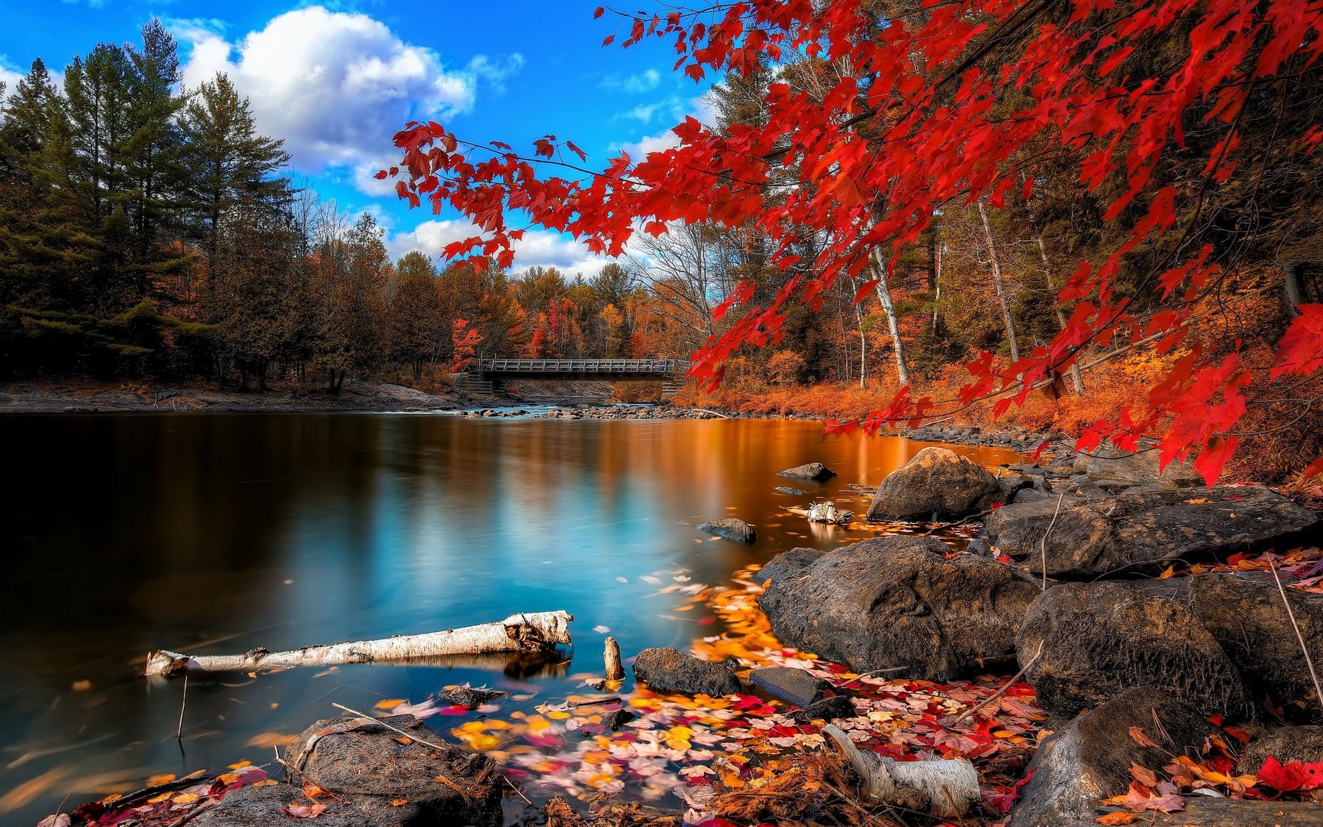 Fonds d'cran Nature Lacs - Etangs 