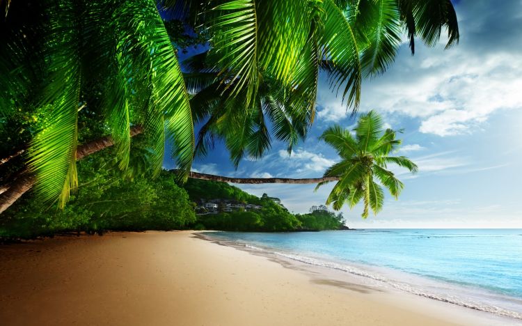 Wallpapers Nature Paradisiac Islands Wallpaper N379796