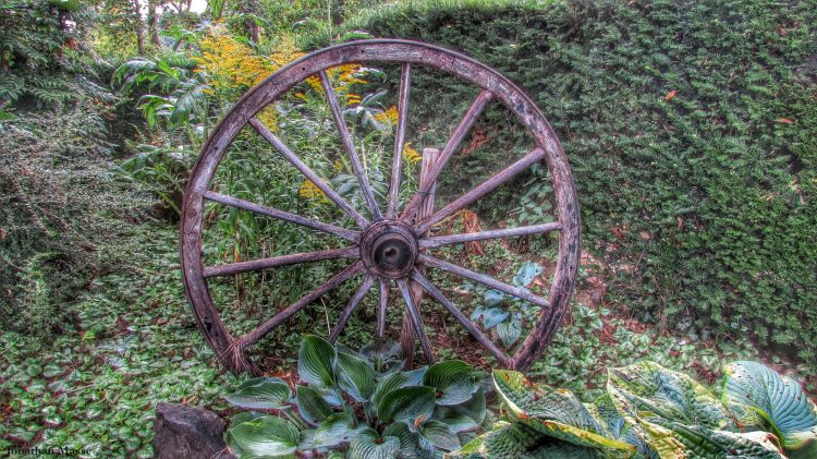 Fonds d'cran Nature Parcs - Jardins Roue.