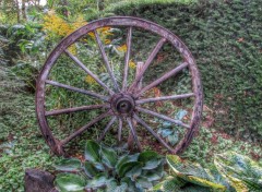  Nature Roue.