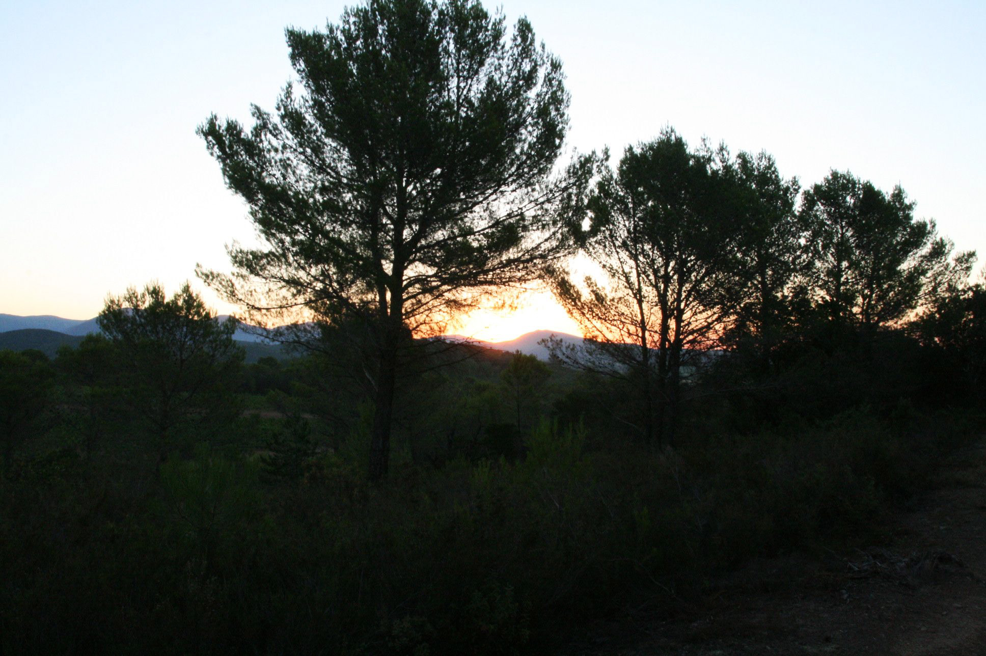 Fonds d'cran Nature Couchers et levers de Soleil Languedoc Rousillon - Hrault