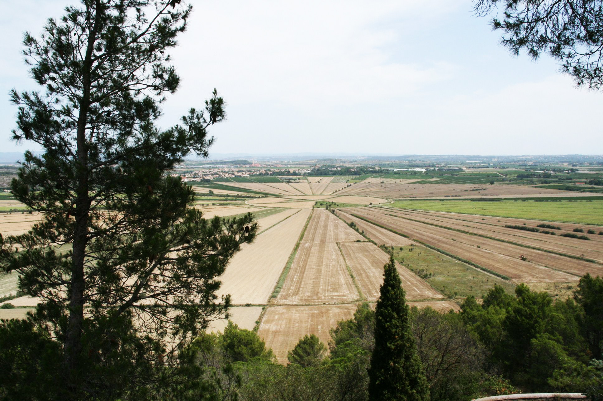 Fonds d'cran Nature Champs - Prairies Languedoc Rousillon - Hrault