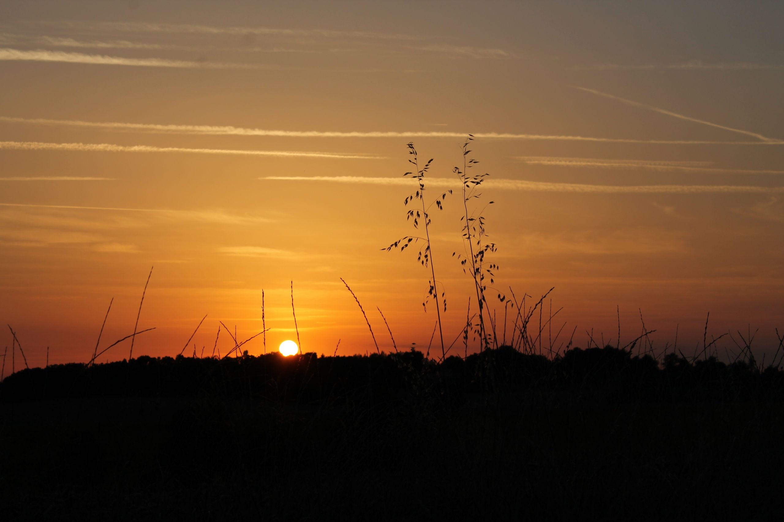 Wallpapers Nature Sunsets and sunrises Au soleil couchant