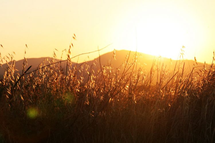 Wallpapers Nature Sunsets and sunrises Languedoc Rousillon - Hrault