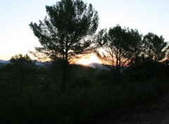  Nature Languedoc Rousillon - Hrault