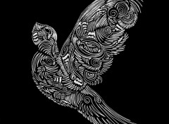  Art - Pencil Abstract bird