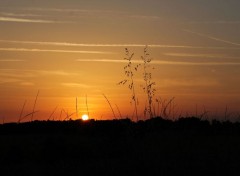  Nature Au soleil couchant