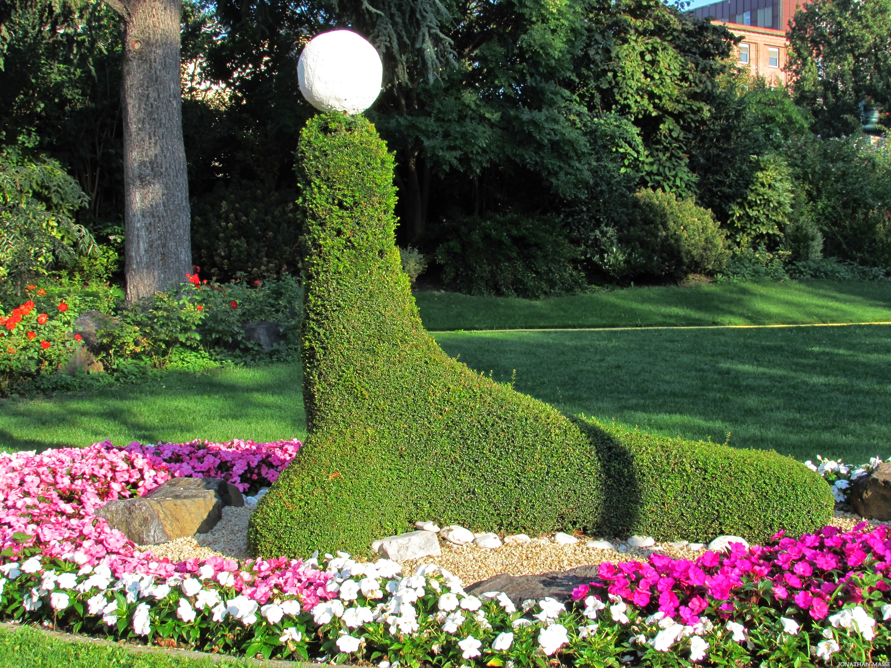 Fonds d'cran Nature Parcs - Jardins Otarie au jardin Lecoq.