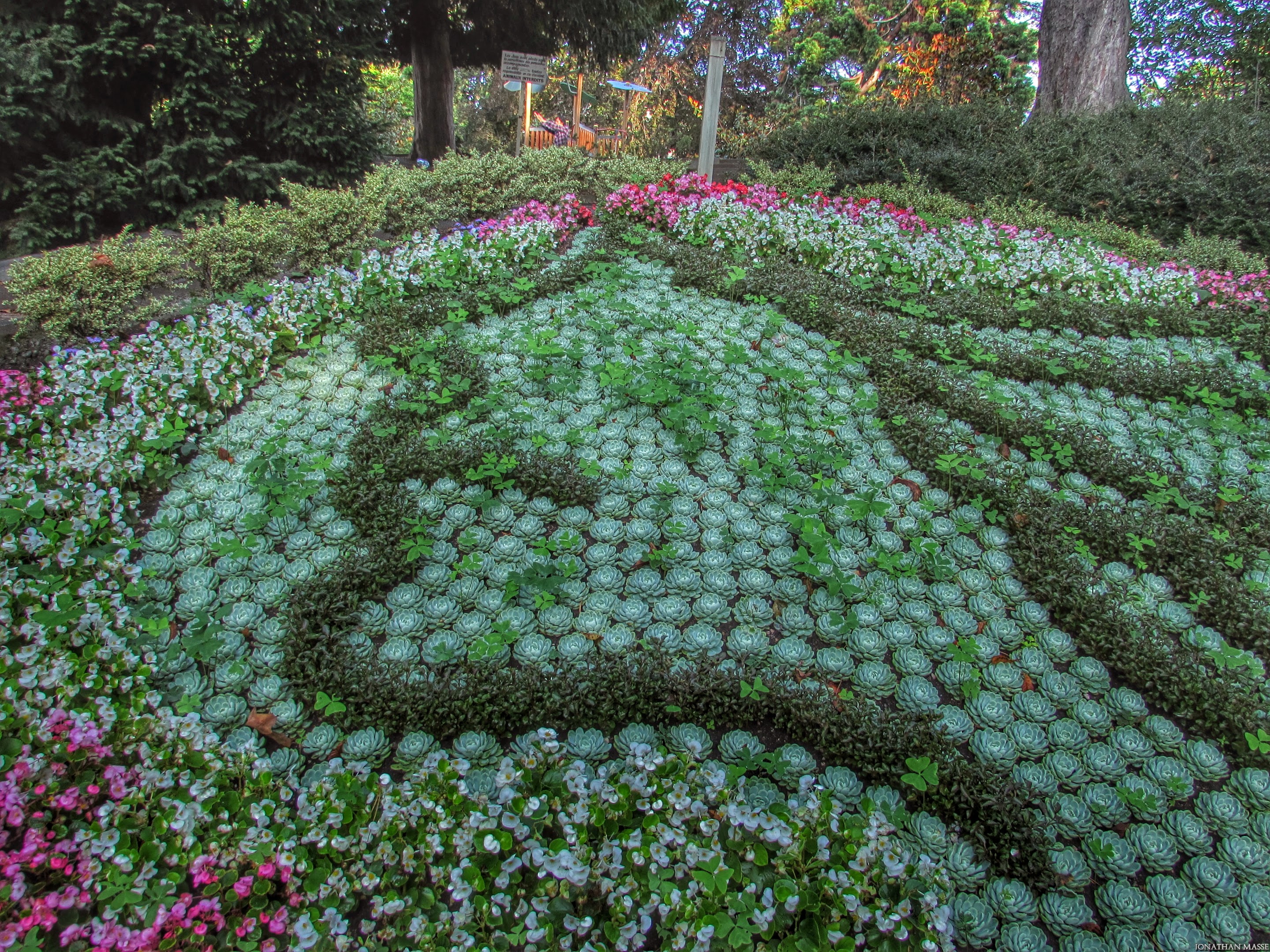 Fonds d'cran Nature Parcs - Jardins Visage.