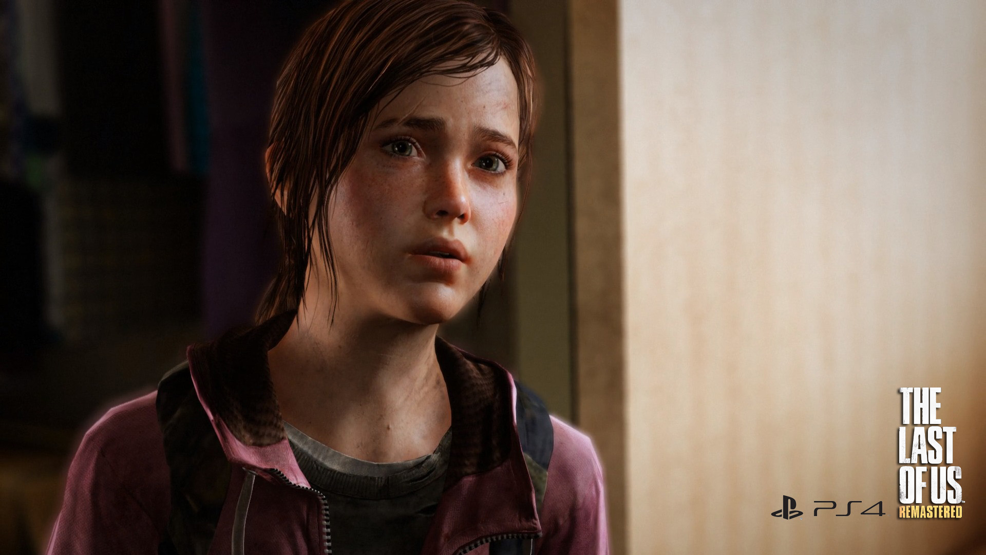 Fonds d'cran Jeux Vido The Last Of Us The Last of Us Remastered