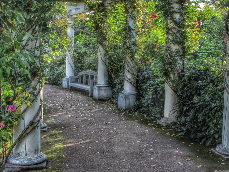 Fonds d'cran Nature Parcs - Jardins Roseraie du jardin Lecoq.