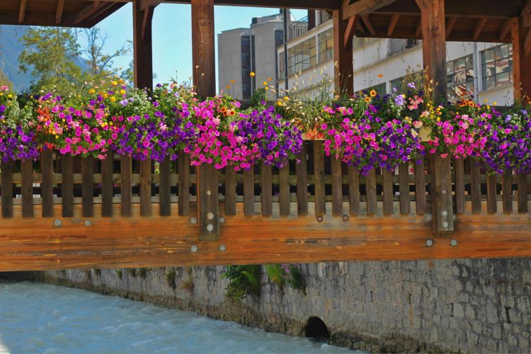 Fonds d'cran Constructions et architecture Ponts - Aqueducs pont fleuri de Chamonix