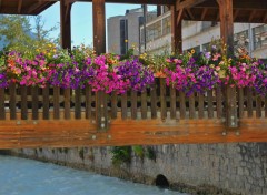  Constructions et architecture pont fleuri de Chamonix