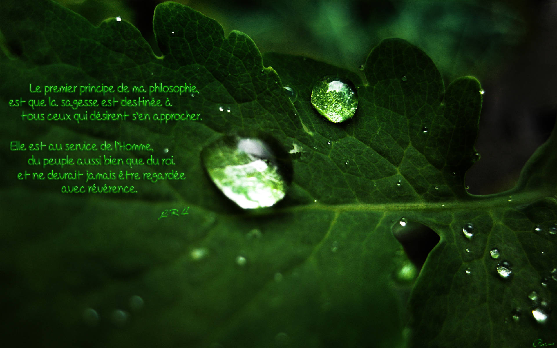 Wallpapers Digital Art Poetry - Texts Rosée verte