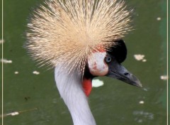  Animaux Olmense Zoo