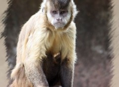  Animaux Olmense Zoo