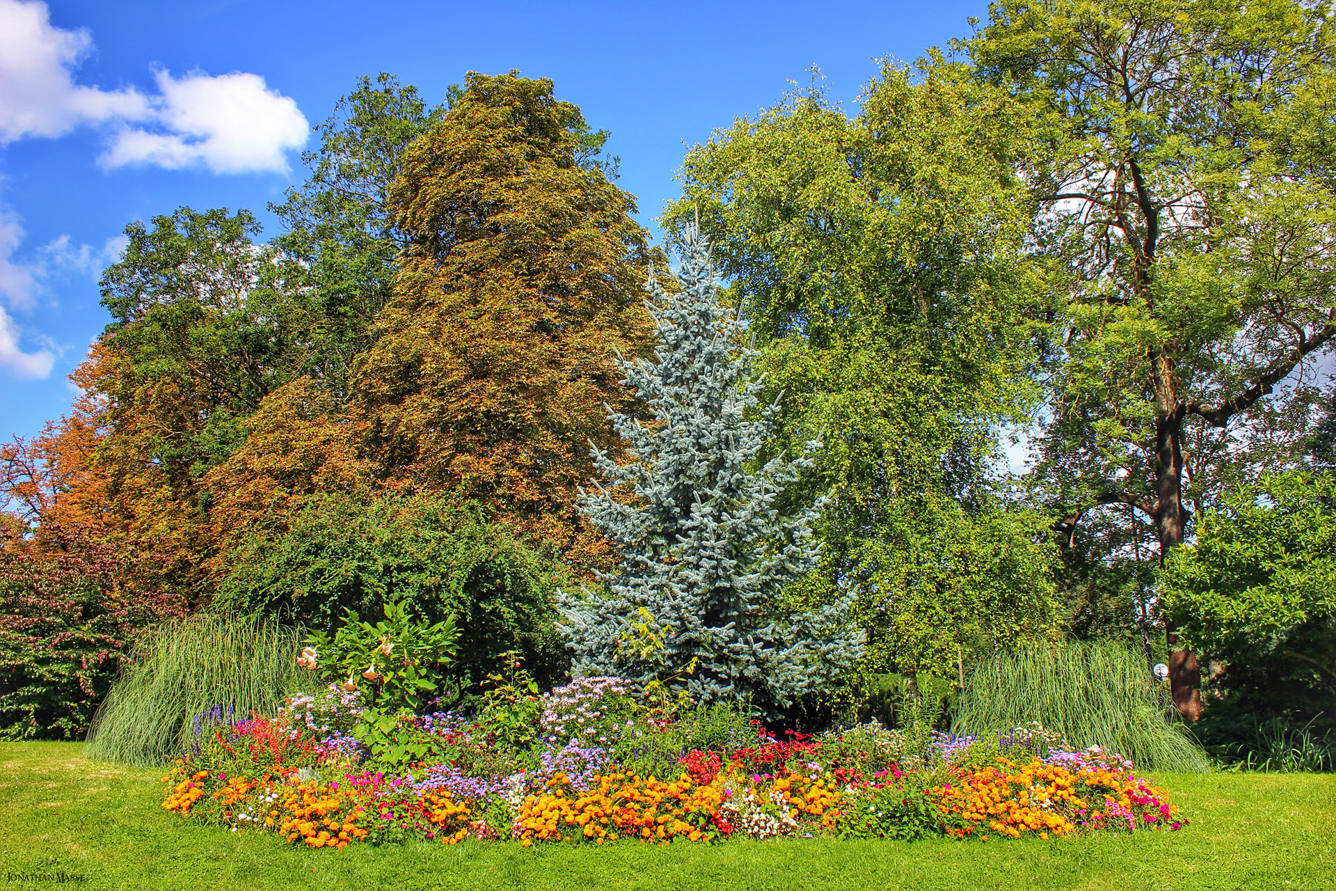 Wallpapers Nature Parks - Gardens Parc de Poissy