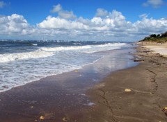  Nature Plage de Normandie