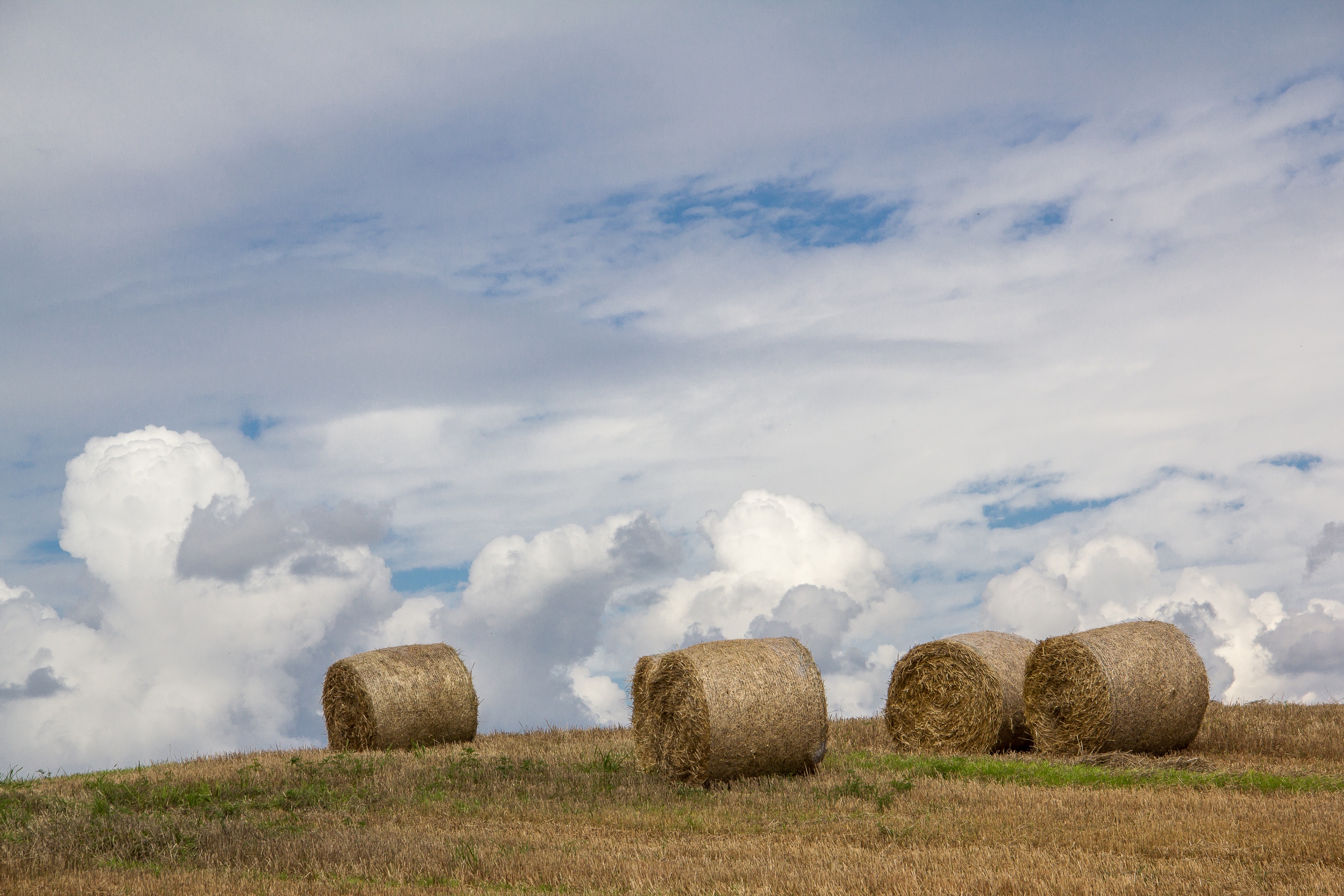 Fonds d'cran Nature Moisson 