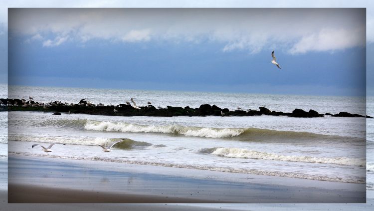 Wallpapers Trips : Europ Belgium Middelkerke-Westende