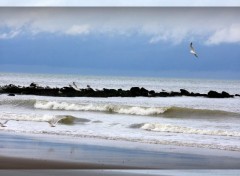  Trips : Europ Middelkerke-Westende