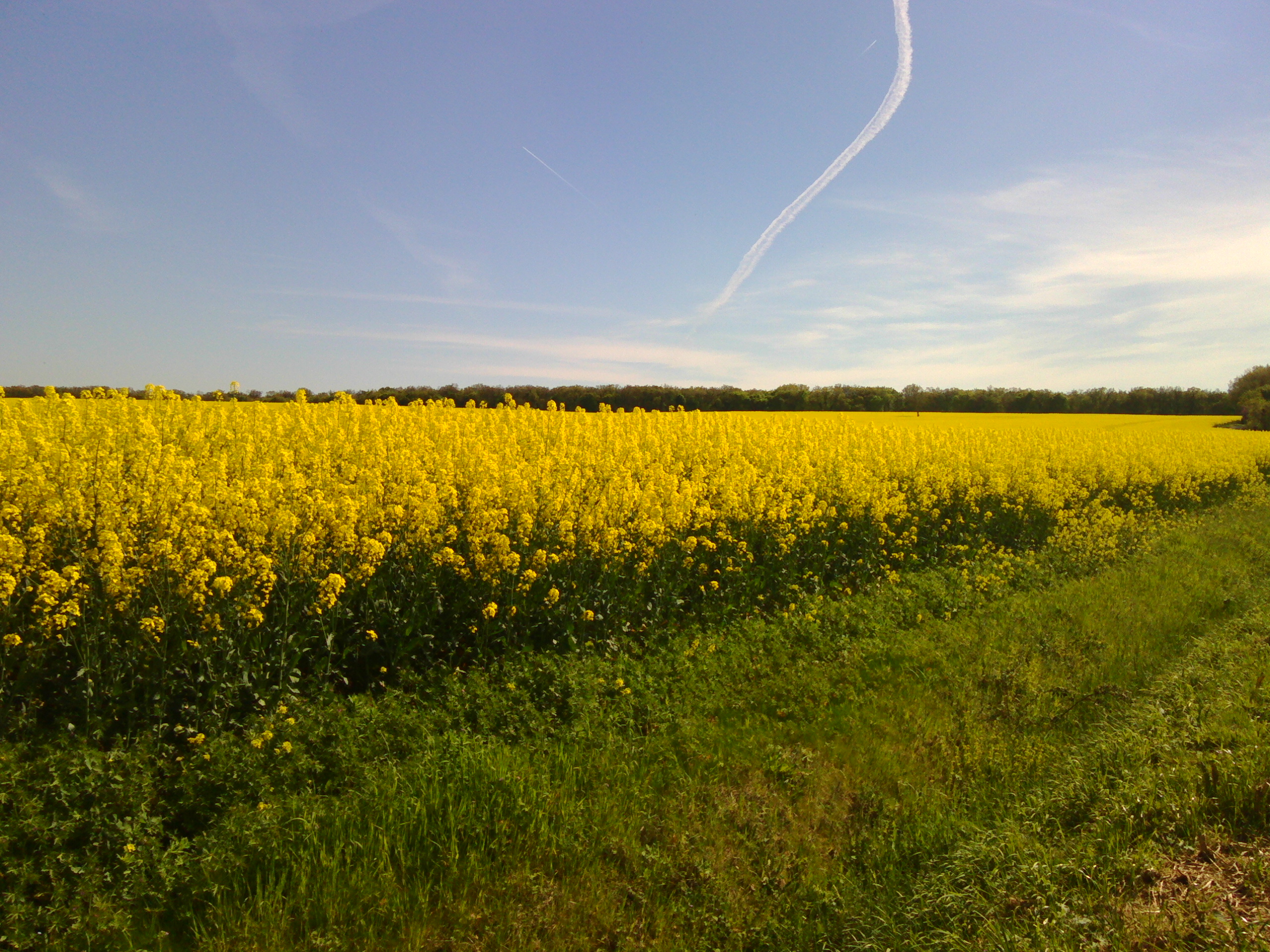 Wallpapers Nature Fields 