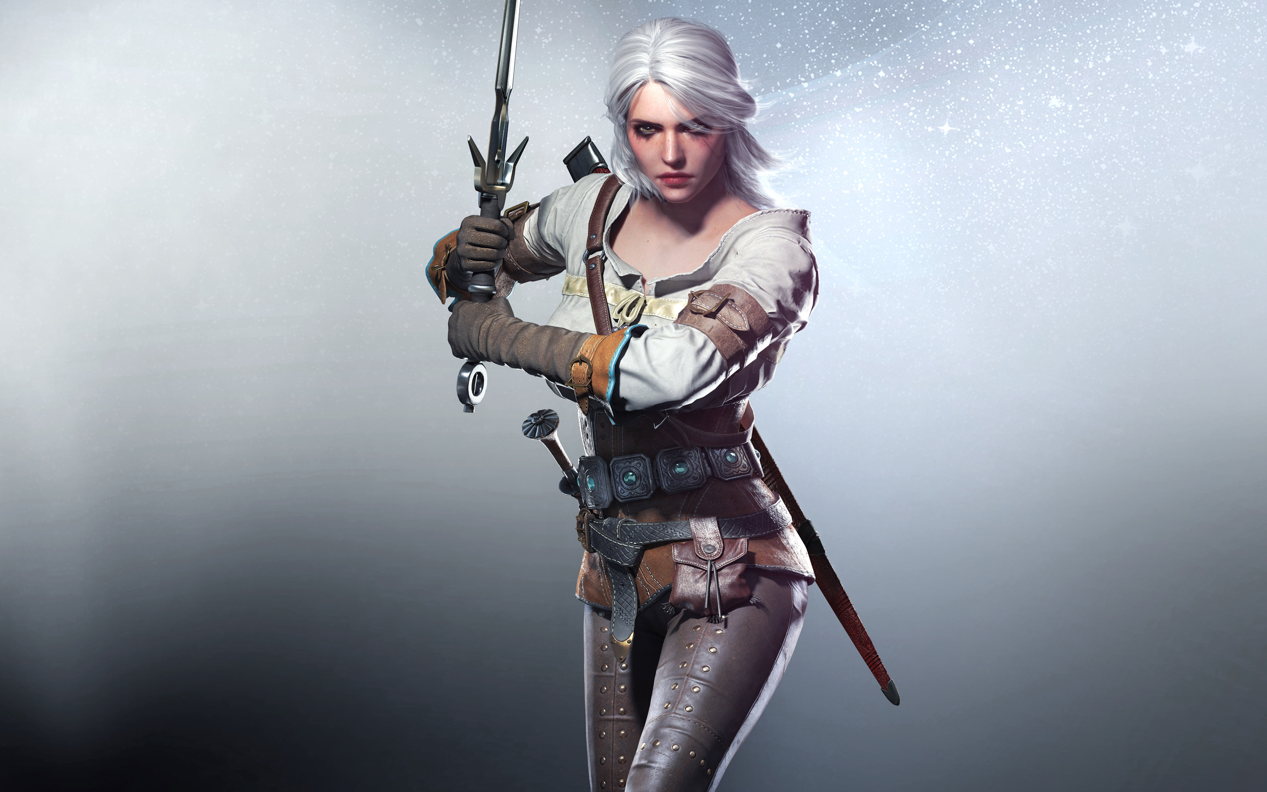 Wallpapers Video Games The Witcher 3 