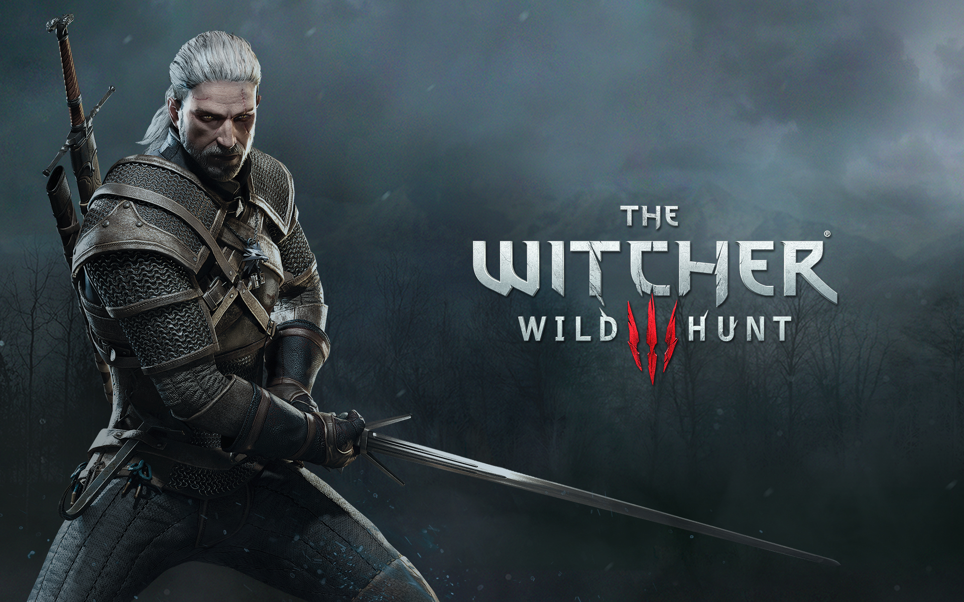 Wallpapers Video Games The Witcher 3 