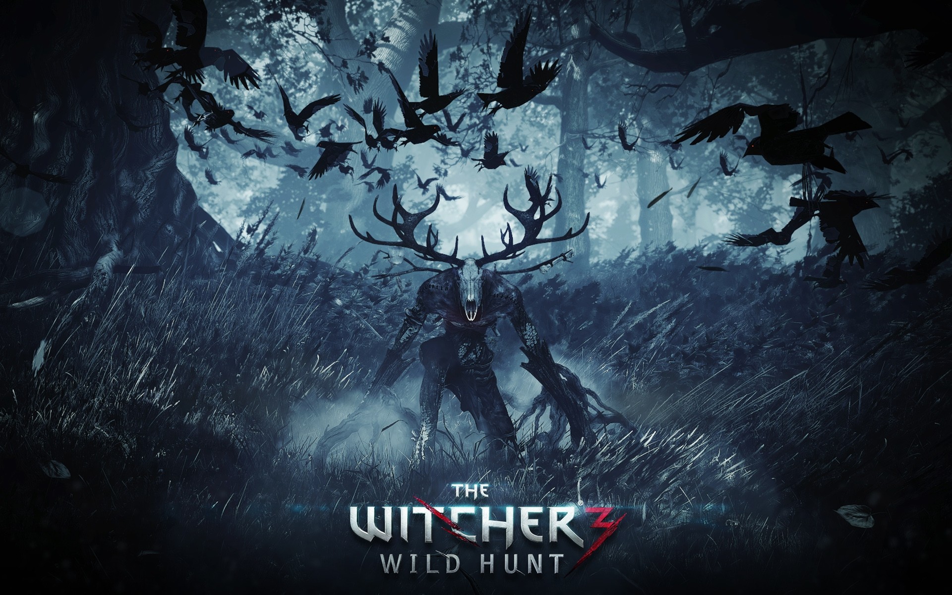 Fonds d'cran Jeux Vido The Witcher 3 