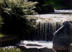  Nature Jardin japonais d'Hasselt (Belgique)