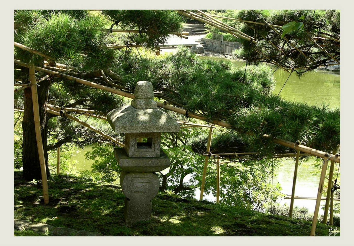 Fonds d'cran Nature Parcs - Jardins Jardin japonais d'Hasselt (suite)