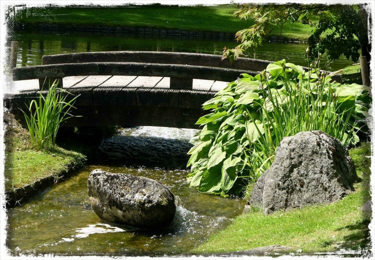 Fonds d'cran Nature Parcs - Jardins Jardin japonais d'Hasselt (suite)