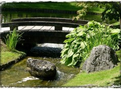  Nature Jardin japonais d'Hasselt (suite)