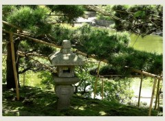  Nature Jardin japonais d'Hasselt (suite)