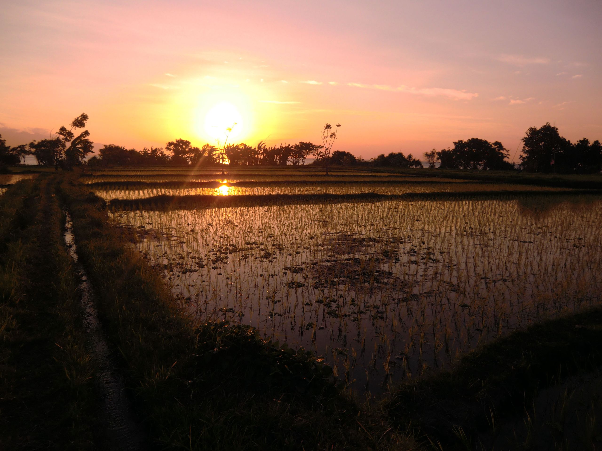 Fonds d'cran Nature Couchers et levers de Soleil 