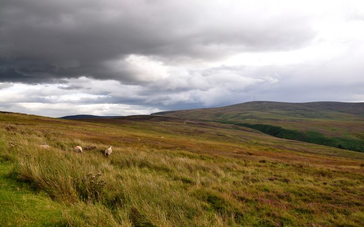 Fonds d'cran Voyages : Europe Irlande Paysages d'Irlande