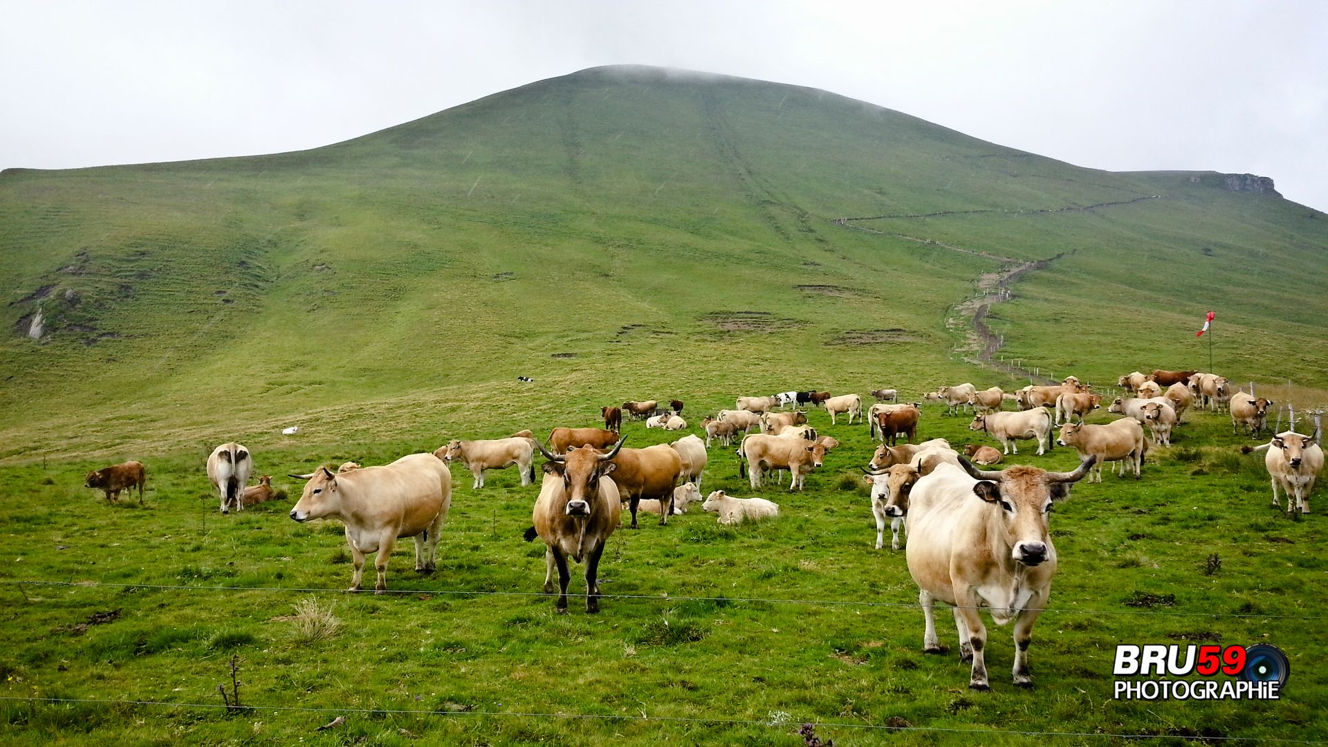 Wallpapers Trips : Europ France > Auvergne Col de la Croix-Morand