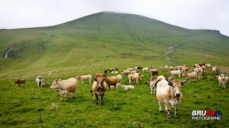 Wallpapers Trips : Europ France > Auvergne Col de la Croix-Morand